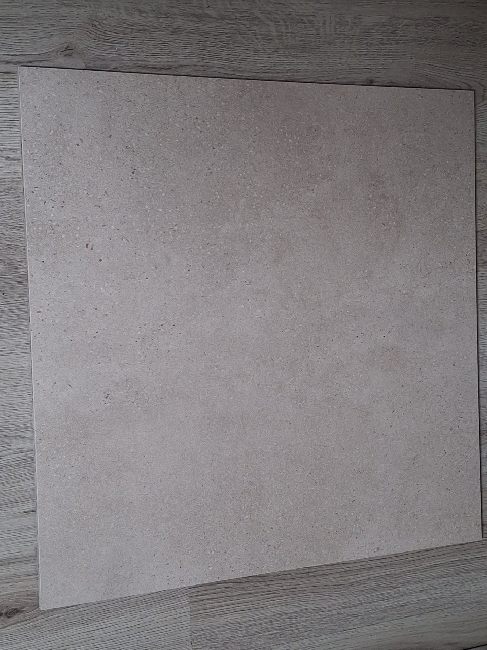 Mooie vloertegels van Porcelanosa 60x60