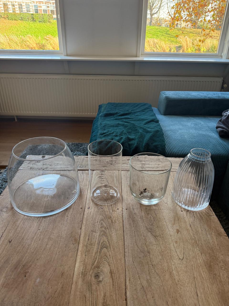 Glazen vazen in diverse vormen en groottes