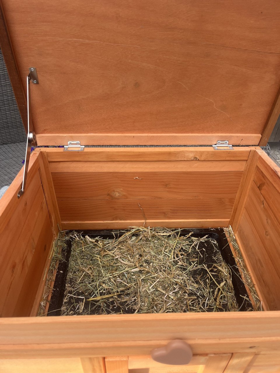 (Nacht) hok konijn /cavia