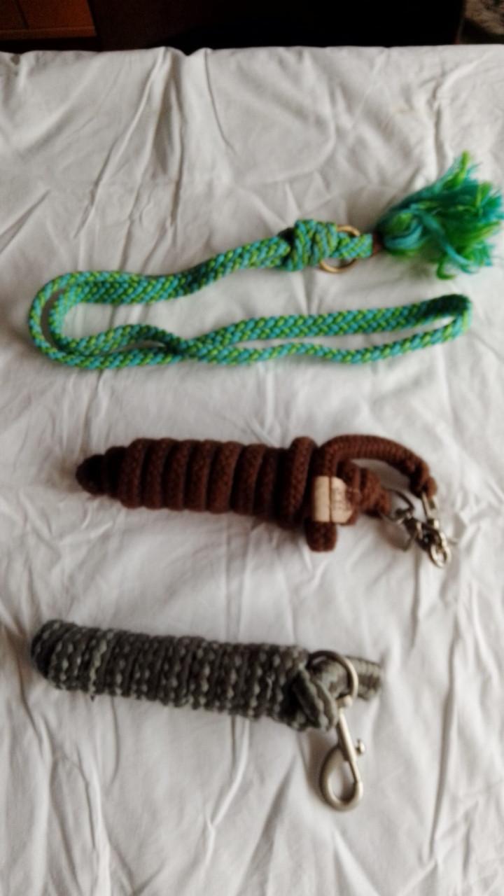 Heel veel paarden benodigdheden te koop wegens beëindigen hobby.