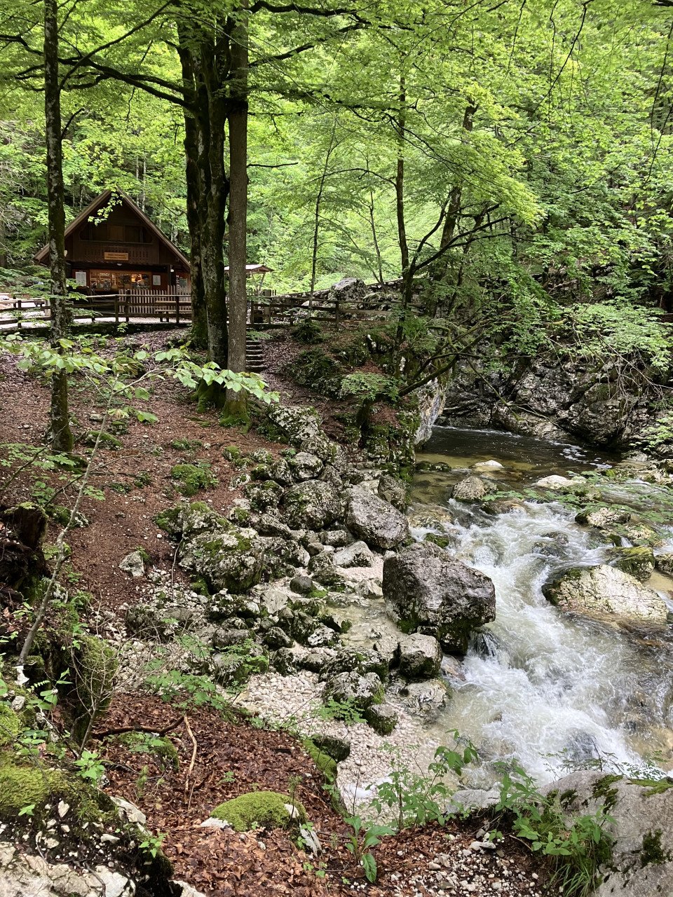Welkom in Slovenie