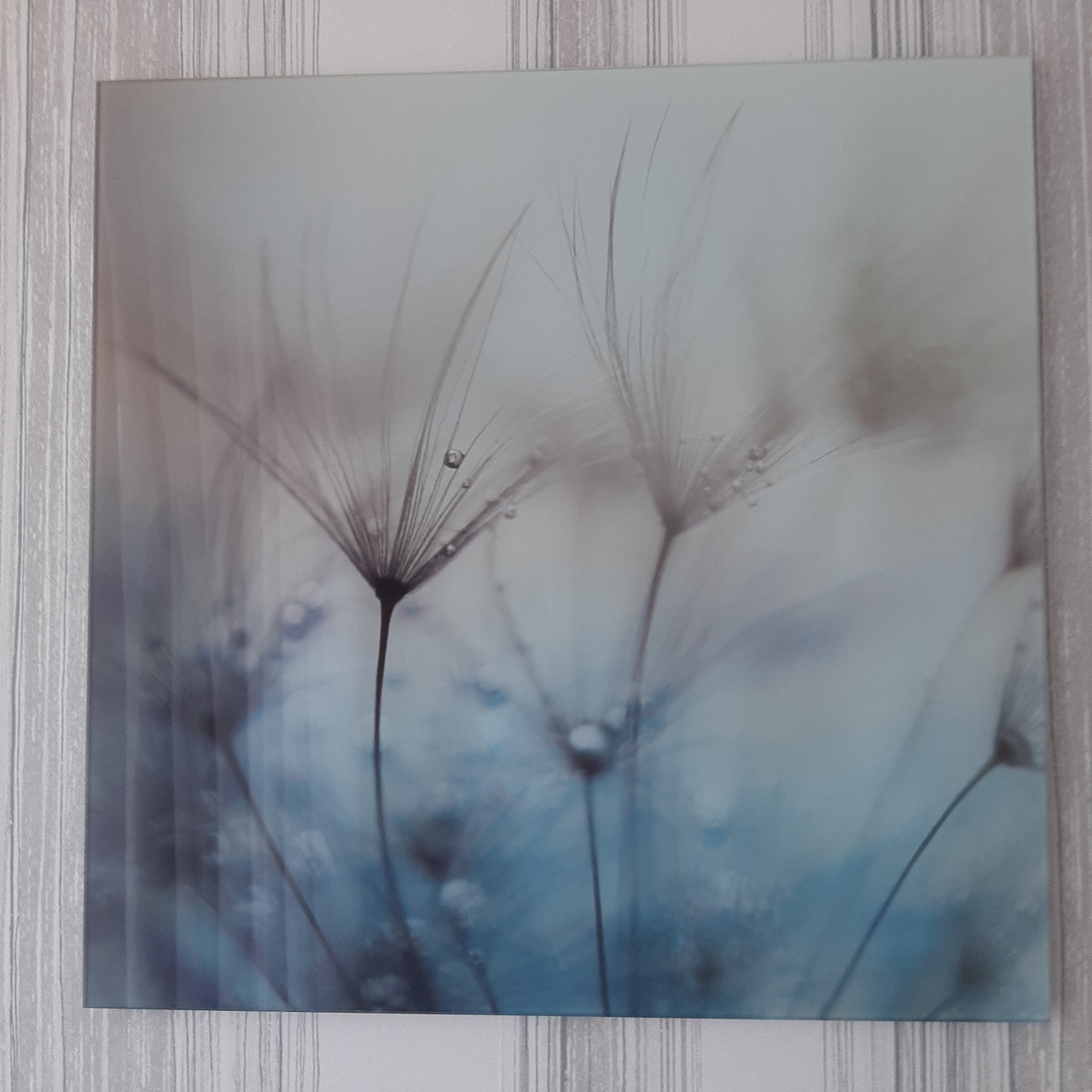 2 glazen schilderijen 50x50