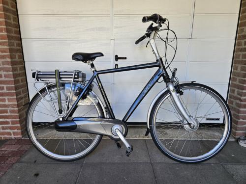 RIH Omega 3 elektrische fiets.