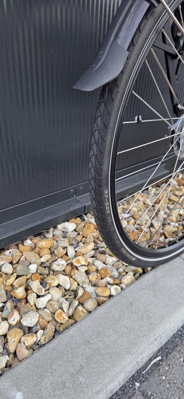 Mooie Gazelle Orange C7+HMS 49cm Gold accu