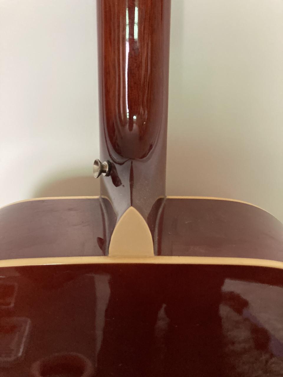 Phoenix 001 western gitaar