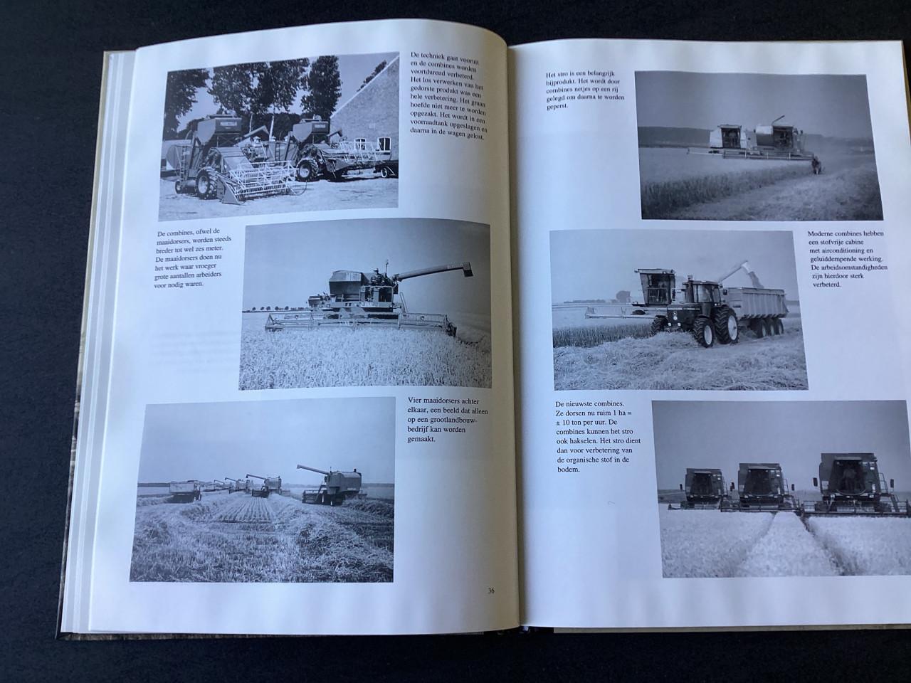 De wilhelminapolder . Zeeland.