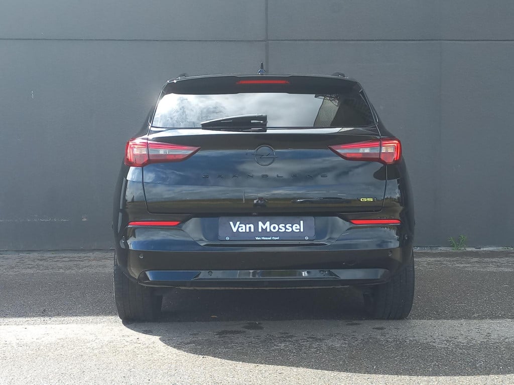 Opel Grandland 1.6 turbo plug-in hybrid 4x4 gse | climat | 19" lmv | camera