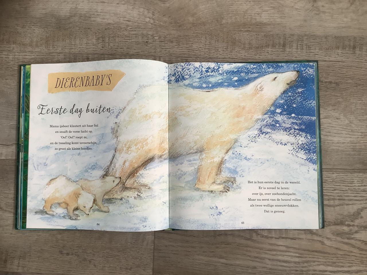 Z.g.a.n. Boek: Zo mooi zijn Dieren