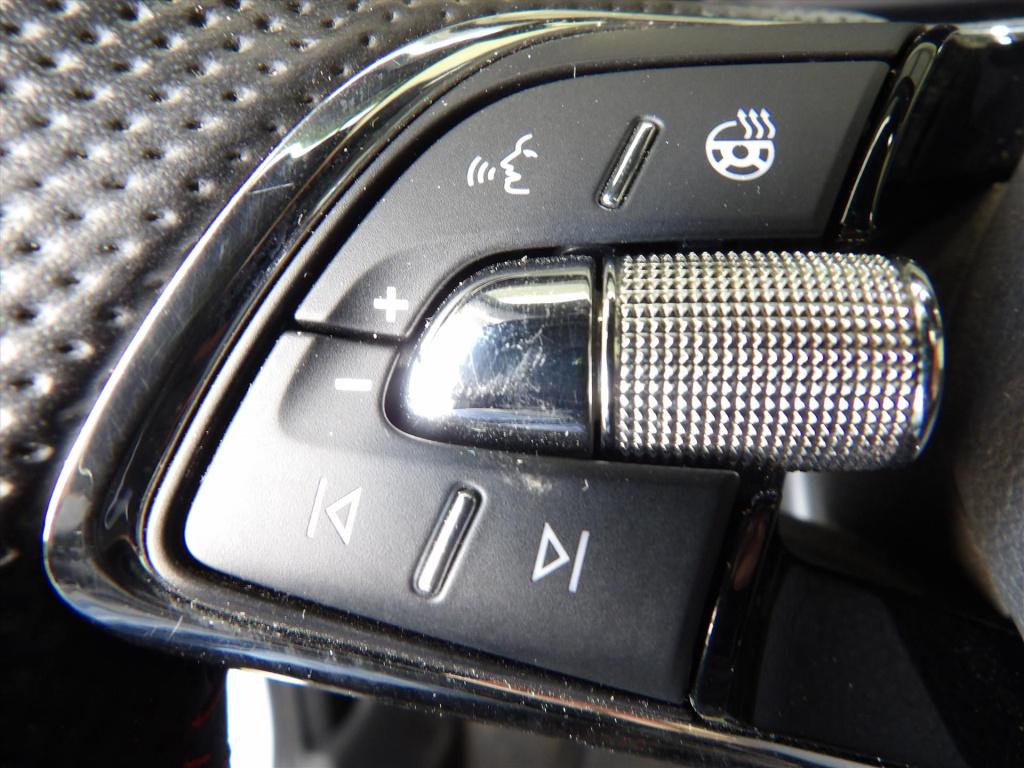 Skoda Kamiq 1.0 tsi greentech 110pk dsg-7 monte carlo