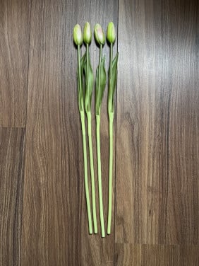 Neptulpen wit-roze