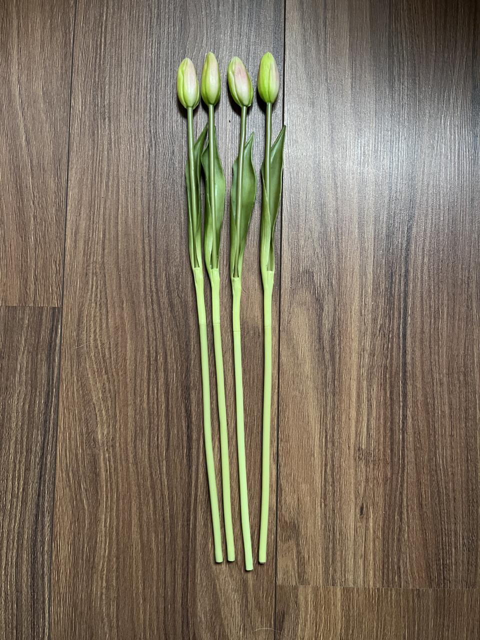 Neptulpen wit-roze