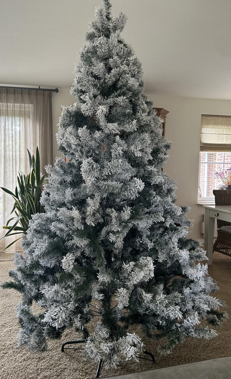 Kerstboom sneeuw. 2.40 m hoog