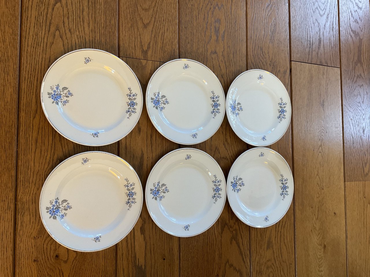 Servies van P.Regout & Co