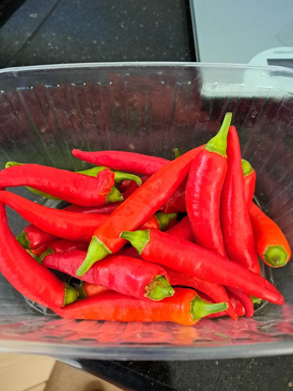 Pruimen.  Spaanse pepers. Cherry tomaten