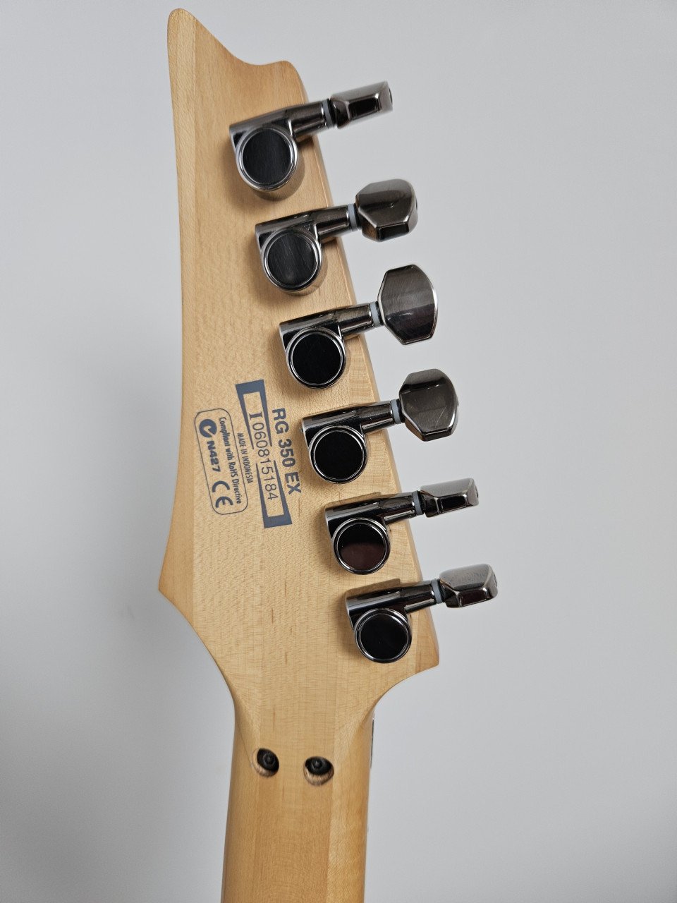Ibanez RG350EX