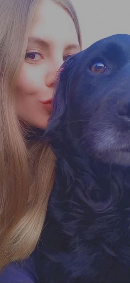 Hond(en) die ik mag uitlaten gevraagd.