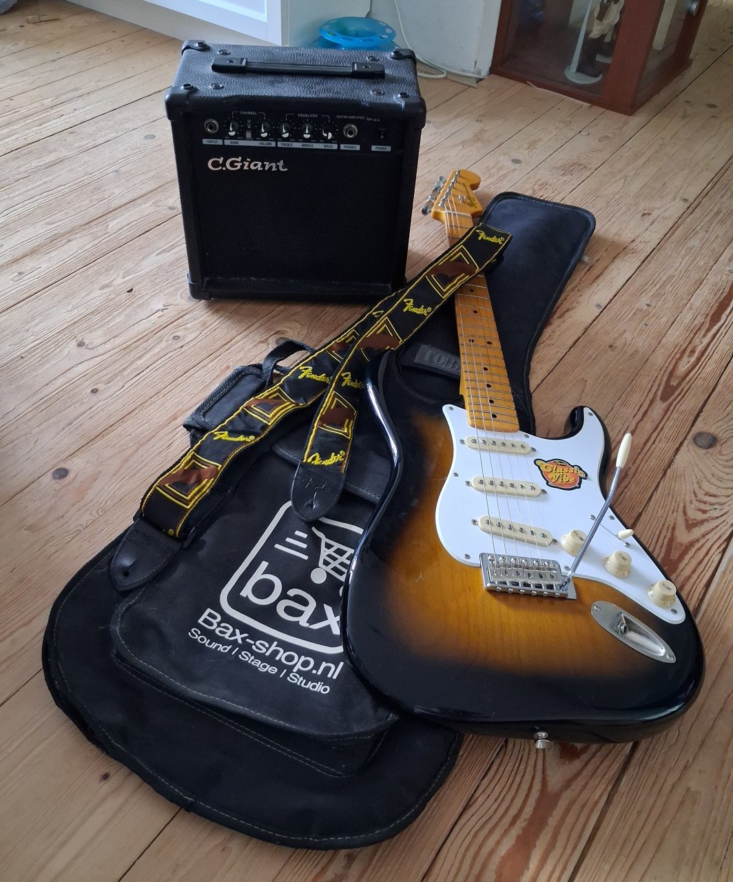 Elektrische gitaar plus toebehoren