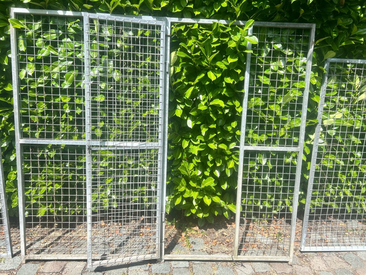 Honden kennel