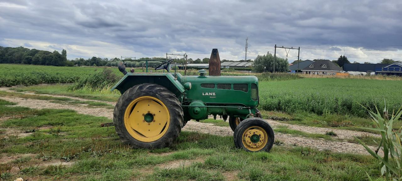 Diverse oldtimer tractoren