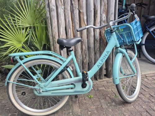 Alpina Clubb kinderfiets 22 inch