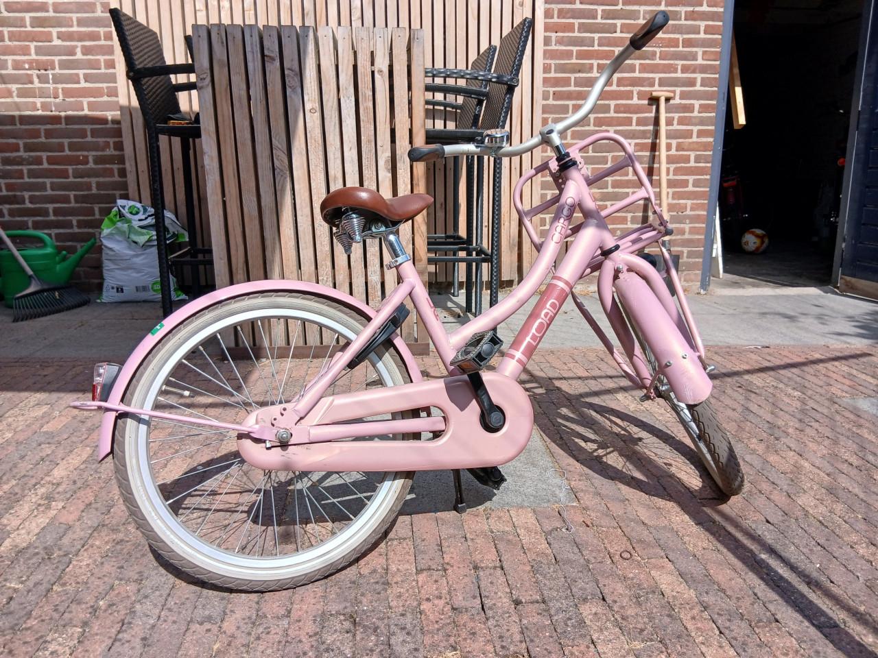 Meisjes fiets