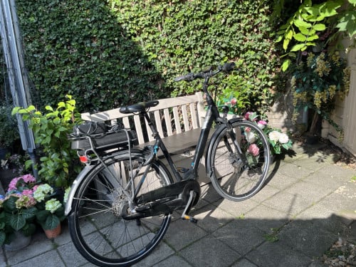 Defecte Giant Entour Ebike