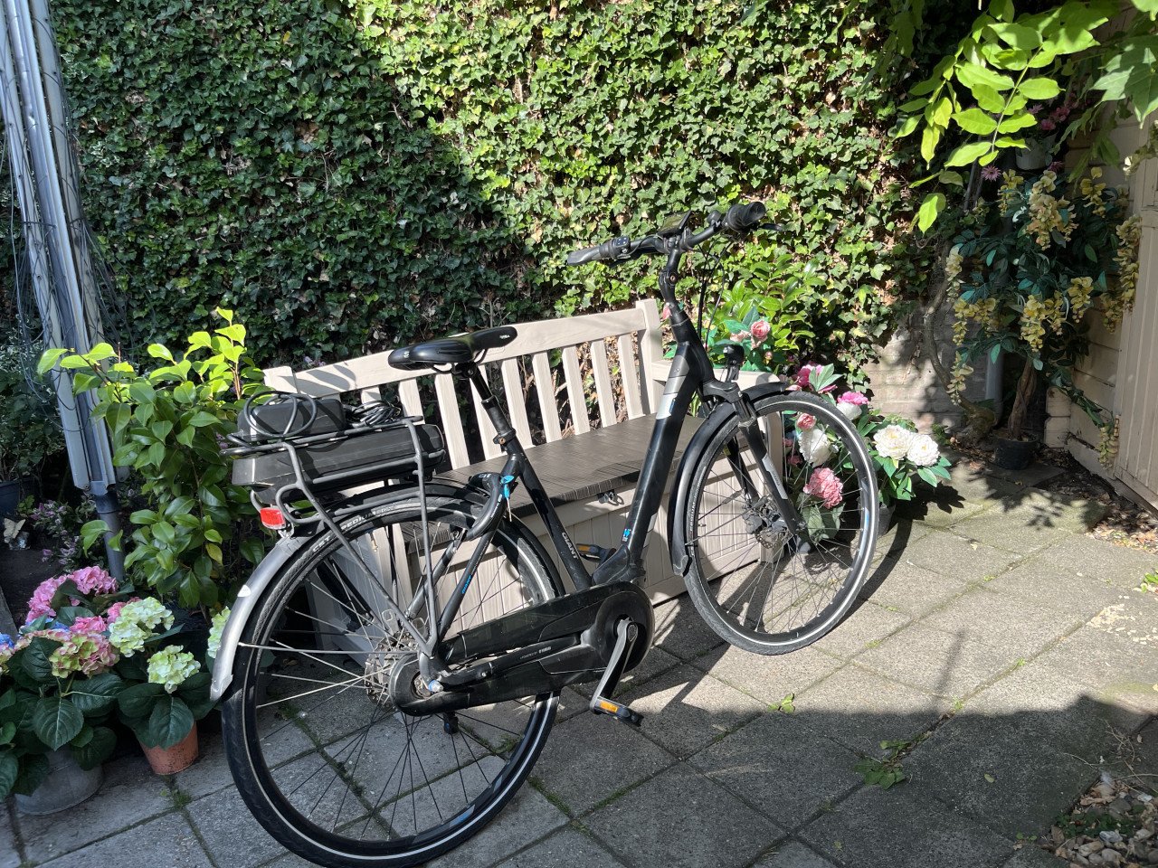 Defecte Giant Entour Ebike