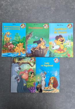 🎈5 Disney boeken  - De leeuwenkoning en
