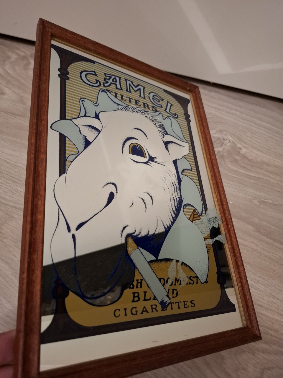 Camel spiegel