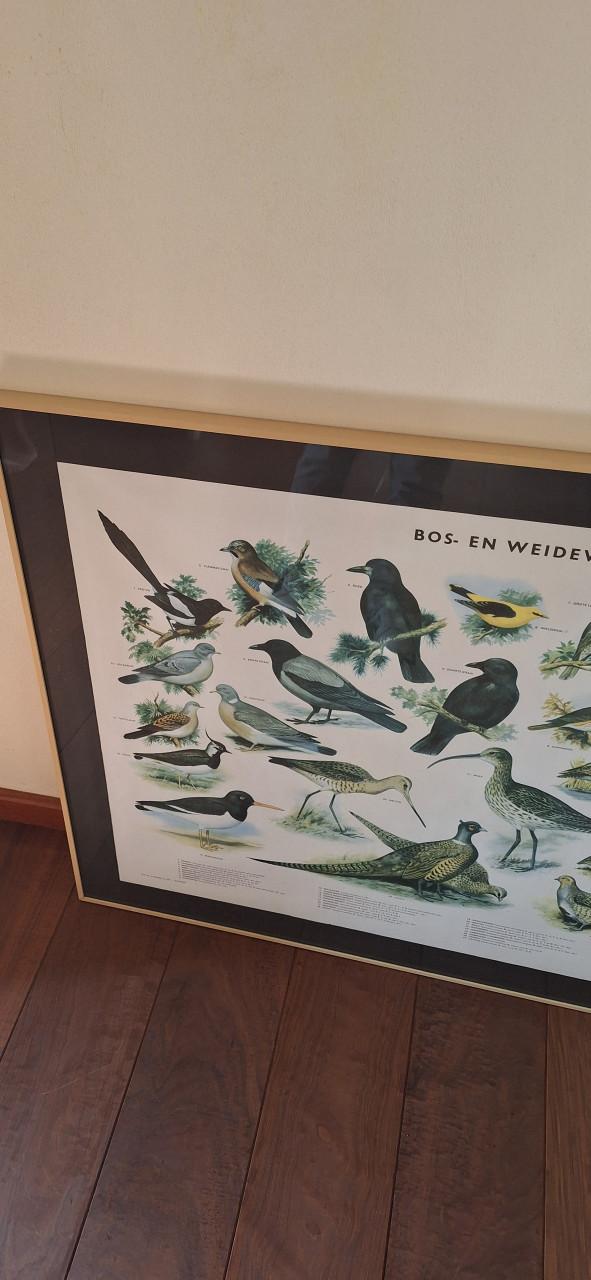 Fotpolijst met passe partout.