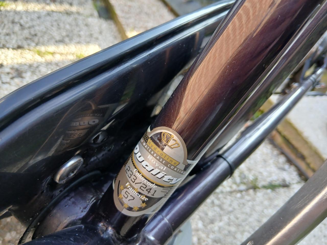 Gazelle herenfiets Paris
