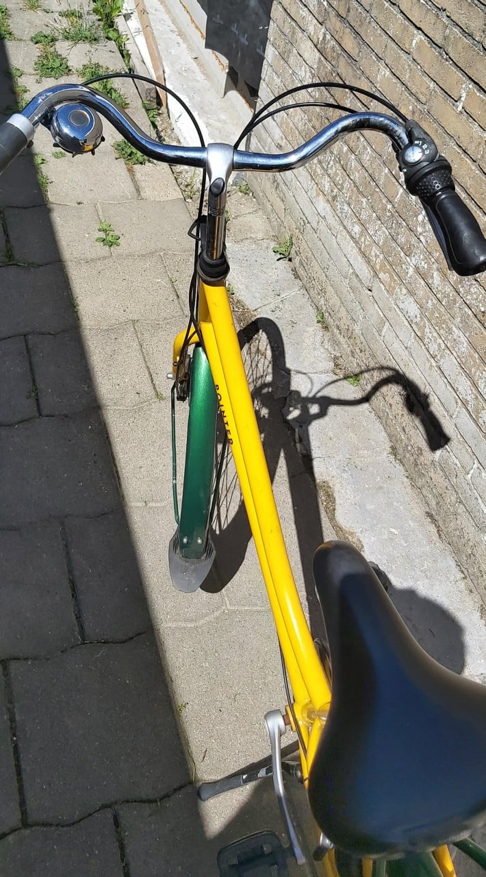 Pointer dames fiets