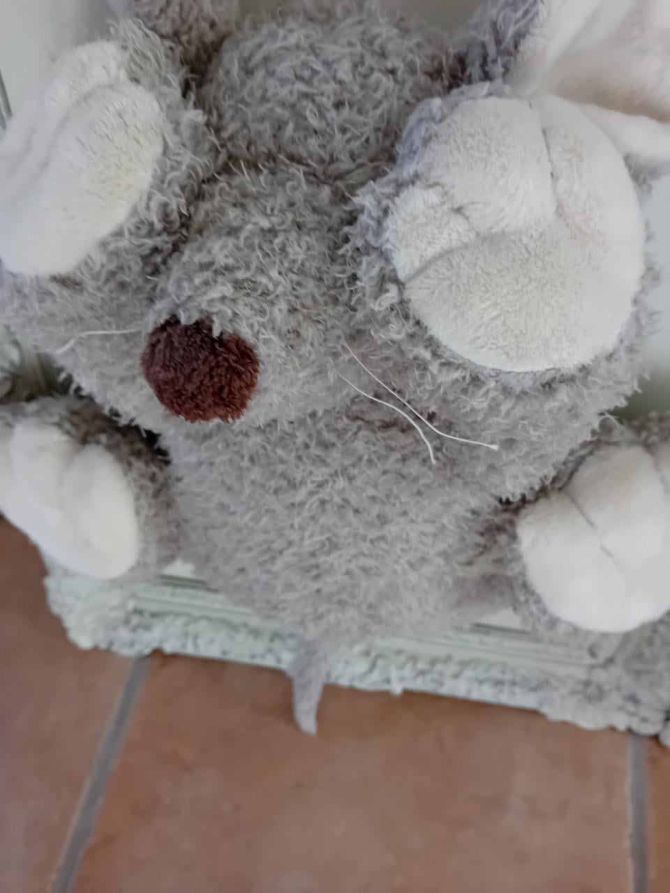 Knuffel op lijst. Apart
