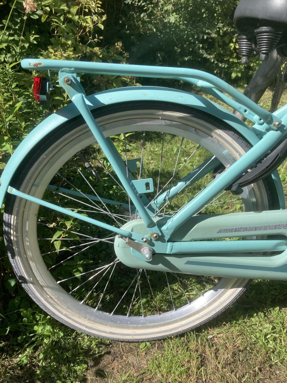 Alpina meisjesfiets
