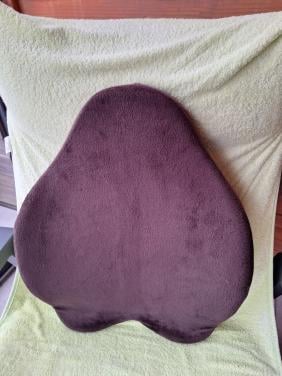 Voorgevormd ergonomisch rugkussen