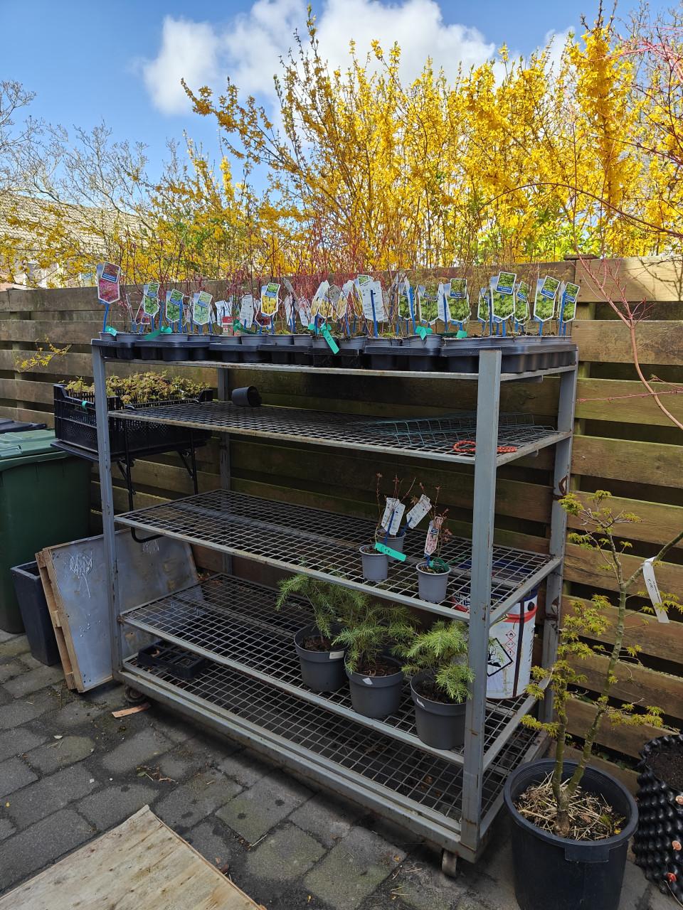 Groot metalen rek op wielen.