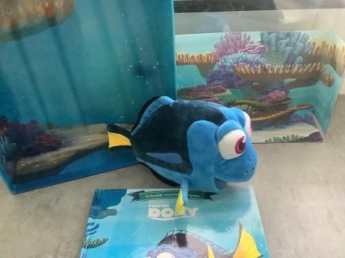 Nieuwe grote Disney Knuffel Finding Dory + Boek, in geschenkdoos