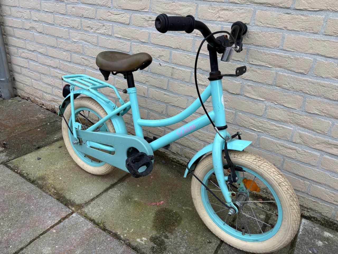 Meisjes fiets