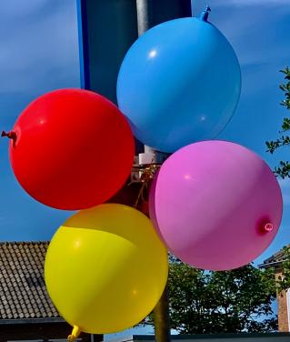 🎈 Ballonnen gezocht 🎈