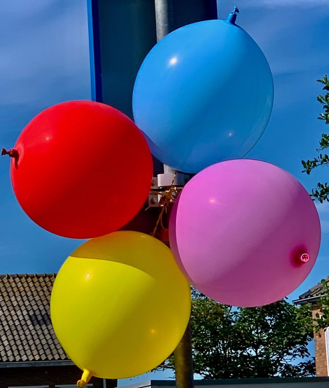 🎈 Ballonnen gezocht 🎈