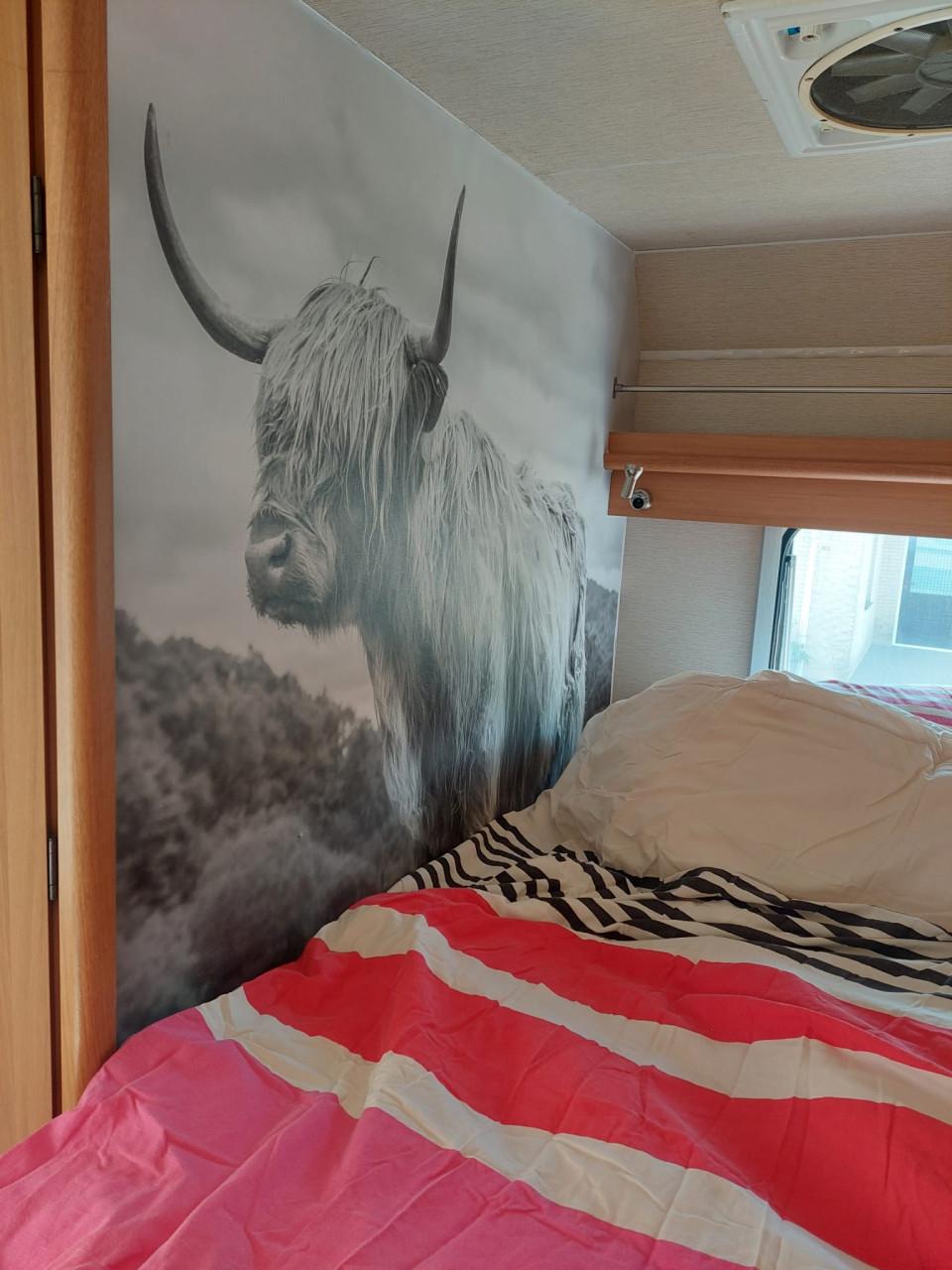 Te koop nette camper Fiat Ducato