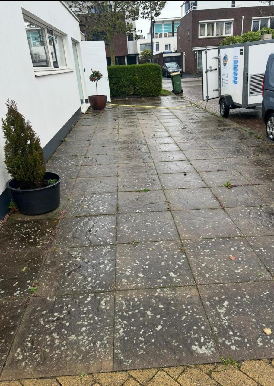 Uw buitenomgeving weer laten stralen? Spik & Span Zeeland helpt u graag!