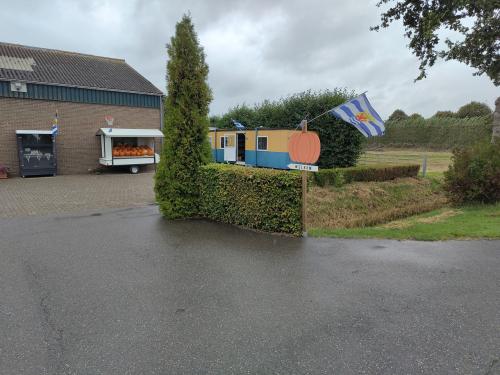 Pompoenen en kalebassen