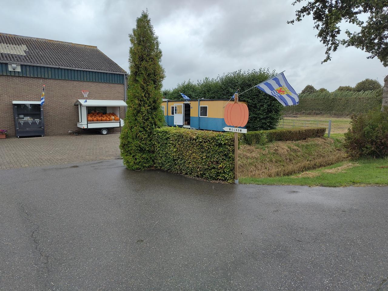 Pompoenen en kalebassen