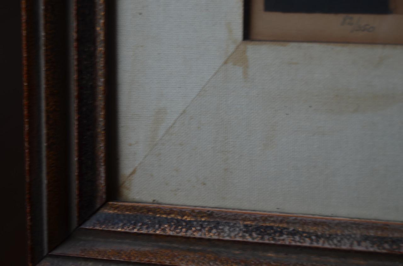 Grote kleurenets Grachtenpanden Brugge Julien v. Santen