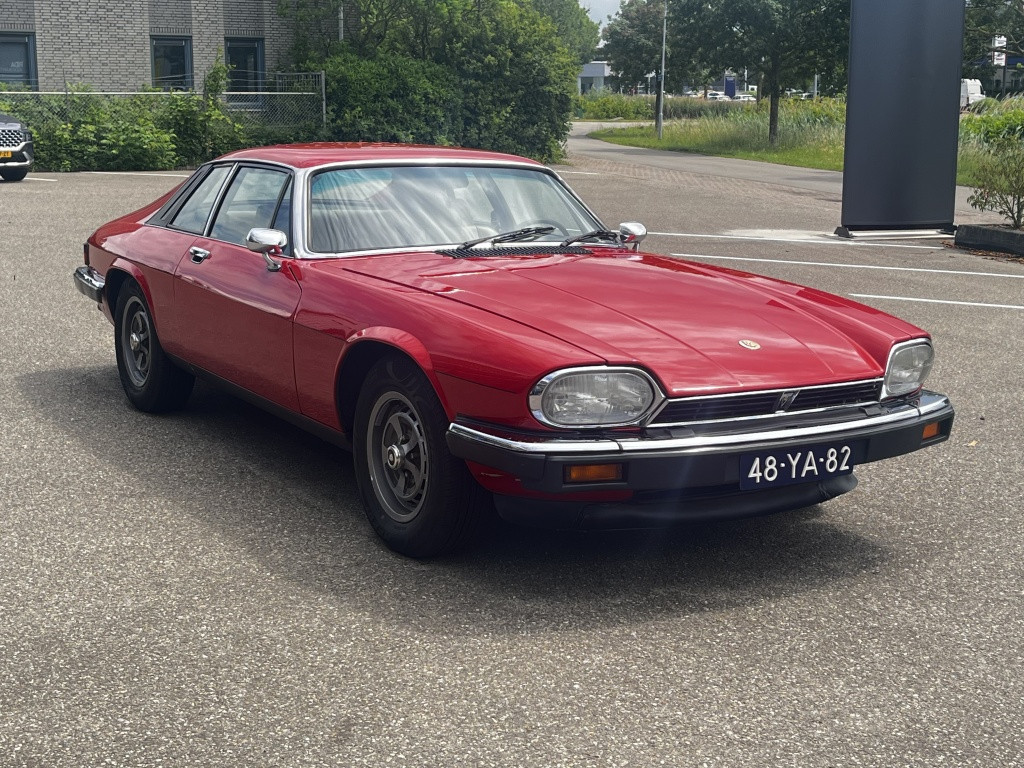 Jaguar Xj xjs 5.3 v12 coupé