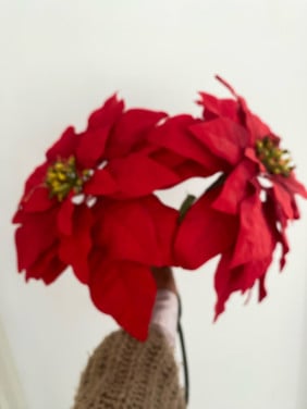 2 rode bloemen