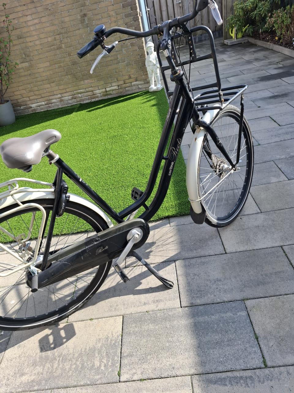 Cortina roots mamafiets