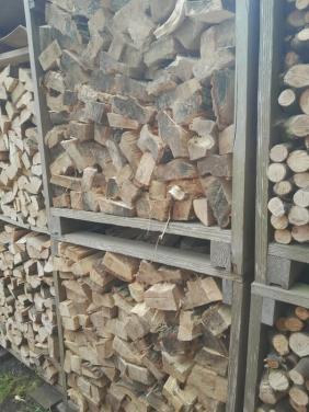 Populierenhout - VERS GEZAAGD.