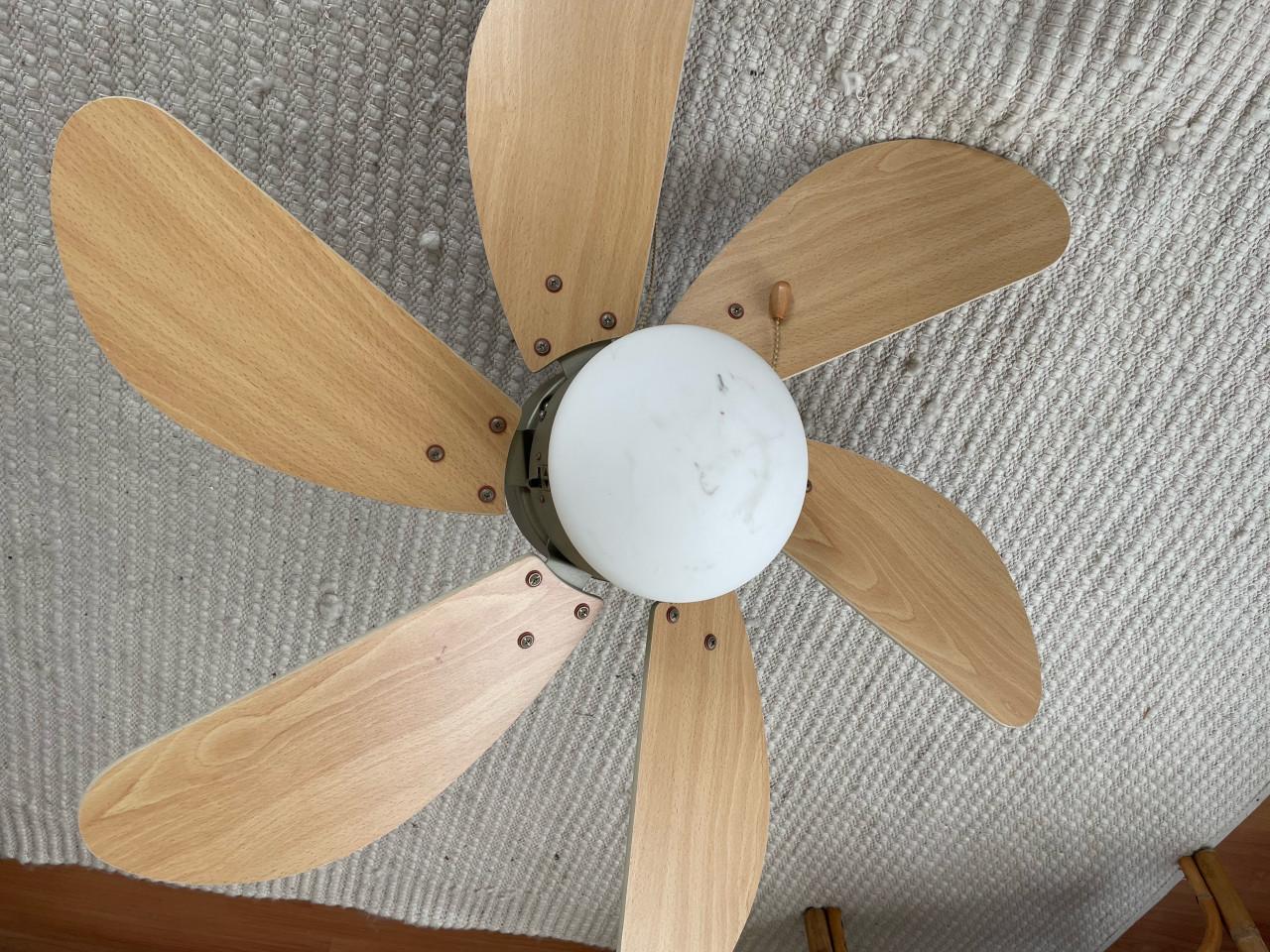 Plafondventilator met verlichting en 3 snelheden